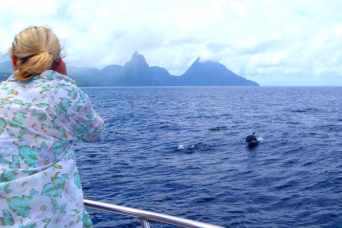 Whale and Dolphin Watching Cruise in St Lucia - The marine expert: why the education part is more than a lecture