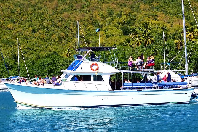 Whale and Dolphin Watching Cruise in St Lucia - Price and value: how $65 stacks up for what you get