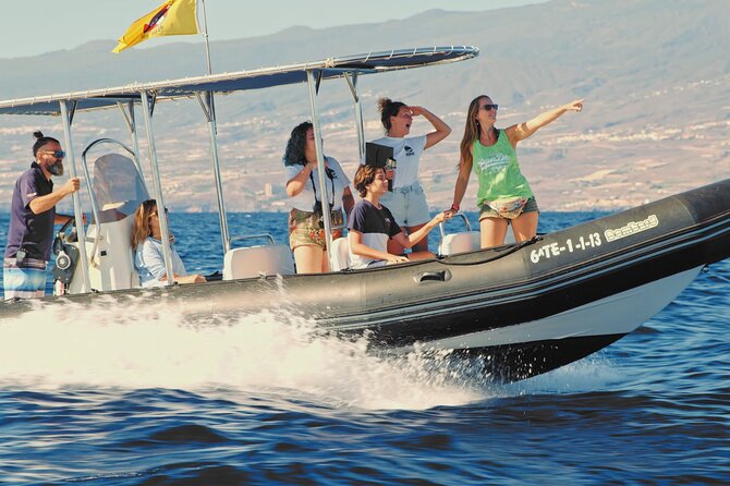 Whale and Dolphin Watching EcoAdventure in Tenerife - Price and Value: Is $65.17 a Good Deal?