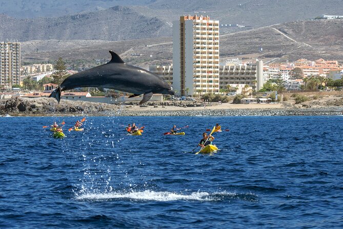 Whale and Dolphin Watching EcoAdventure in Tenerife - What You’ll Learn Before the Boat Leaves