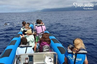 Whale and dolphin watching in Pico Island - Before you go: briefing, life jacket, and getting your bearings fast