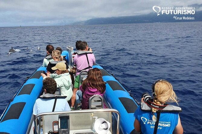 Whale and dolphin watching in Pico Island - Before you go: briefing, life jacket, and getting your bearings fast
