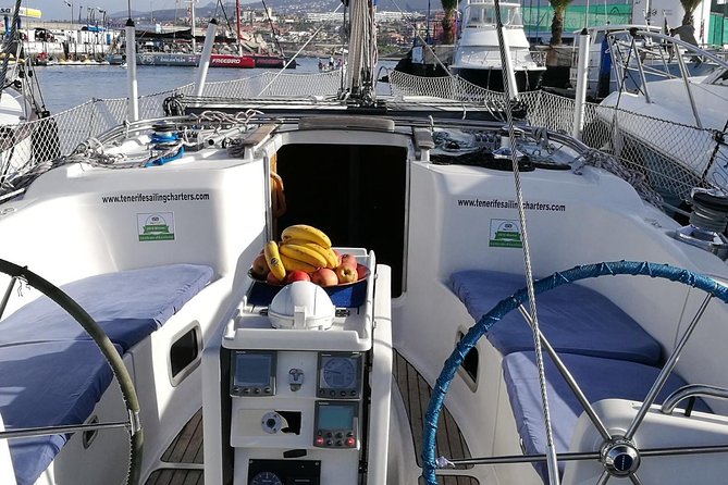 Whale and Dolphin Watching Sailing Boat with Drinks, Snacks and Swimming Time - Weather, sea sickness, and timing: make it smooth