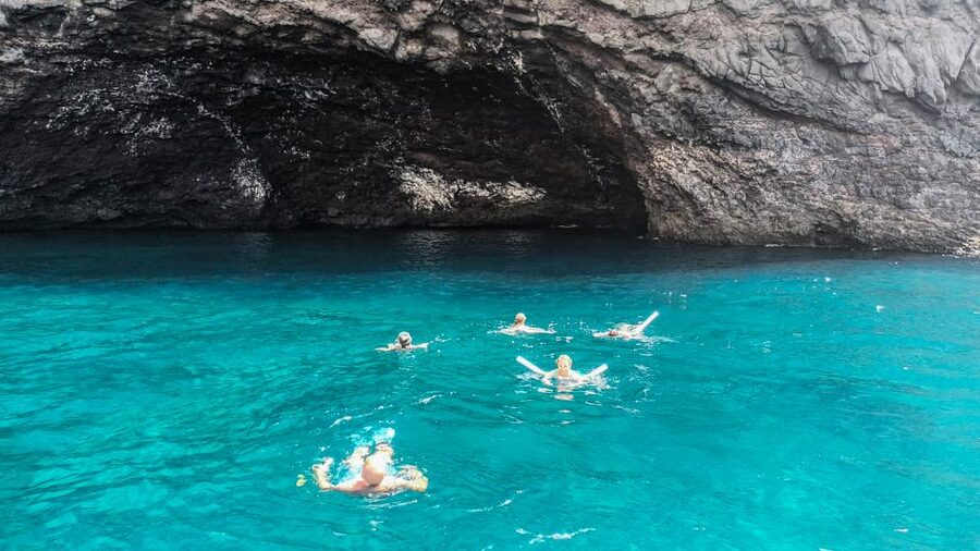 Whale and Dolphin Watching Sailing Tour – Los Gigantes (3H) - Should you book MPC Yacht Charter’s 3-hour whale and dolphin sail from Los Gigantes?