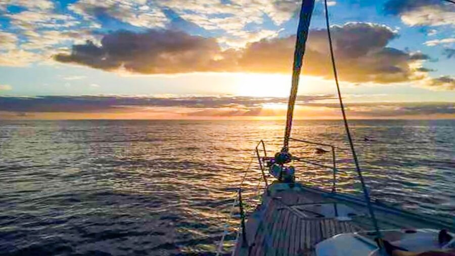 Whale and Dolphin Watching Sailing Tour – Los Gigantes (3H) - Who this trip is perfect for (and who should think twice)