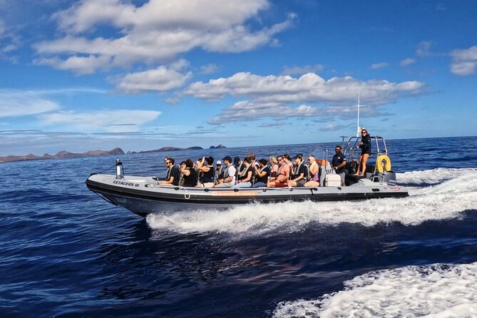 Whale and Dolphin Watching Tour from Funchal - Price and value: is $58.07 worth it?