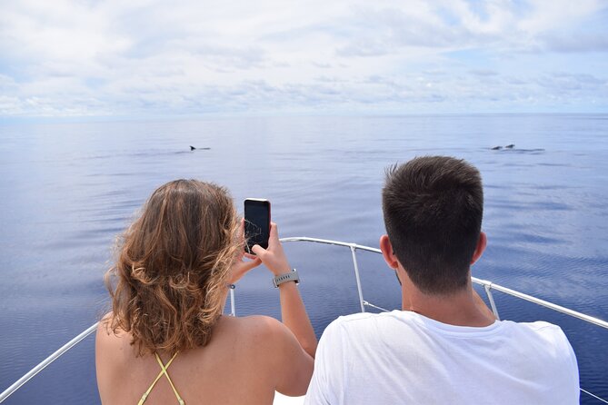 Whale and Dolphin Watching Tour in Madeira - Getting to the boat: On Tales in Calheta and boarding Yacht Miranda