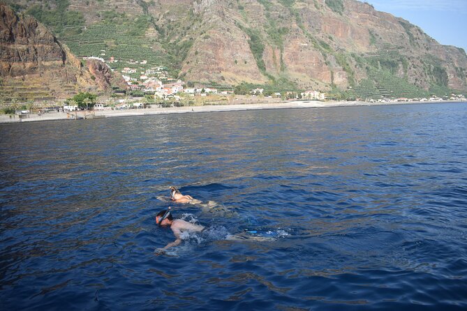 Whale and Dolphin Watching Tour in Madeira - Tips to make the most of your Madeira boat day