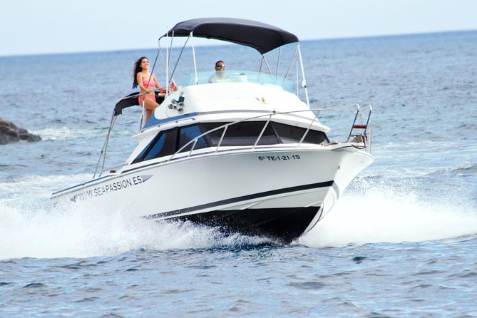 Whale and dolphin watching tour Los Gigantes and Masca in small groups - Key highlights you can plan around