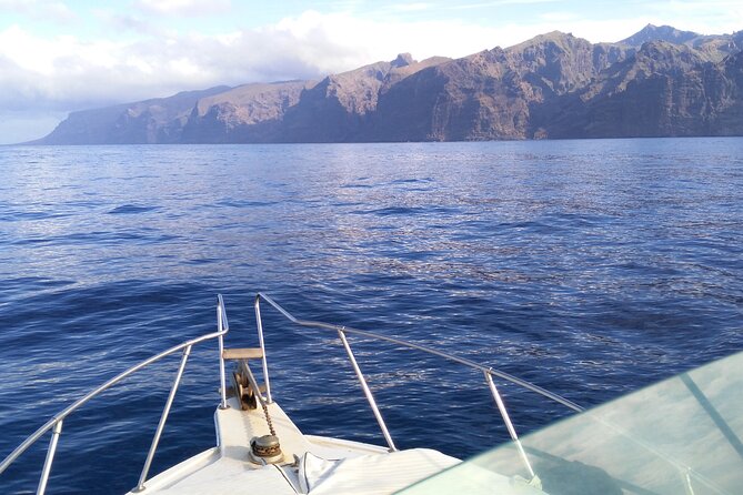 Whale and dolphin watching tour Los Gigantes and Masca in small groups - Group size, language, and who this tour suits best