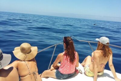 Whale and dolphin watching tour Los Gigantes and Masca in small groups - Cruising Los Gigantes cliffs: the big-view payoff