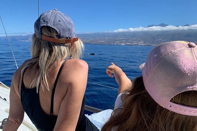 Whale and Dolphin Watching Yacht Trip in Puerto Colon - Snorkeling and swimming: when you get it, and when you might not