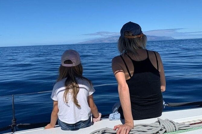 Whale and Dolphin Watching Yacht Trip in Puerto Colon - Timing smart: regular departures vs the 19:00 sunset option