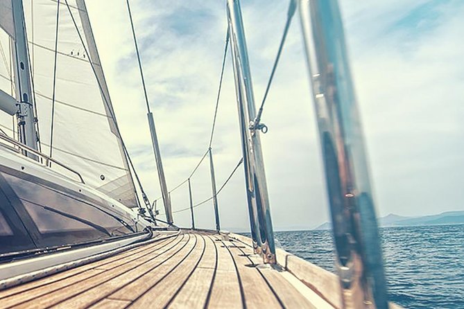 Whale and Dolphin Watching Yacht Trip in Puerto Colon - What to bring so the ride feels comfortable