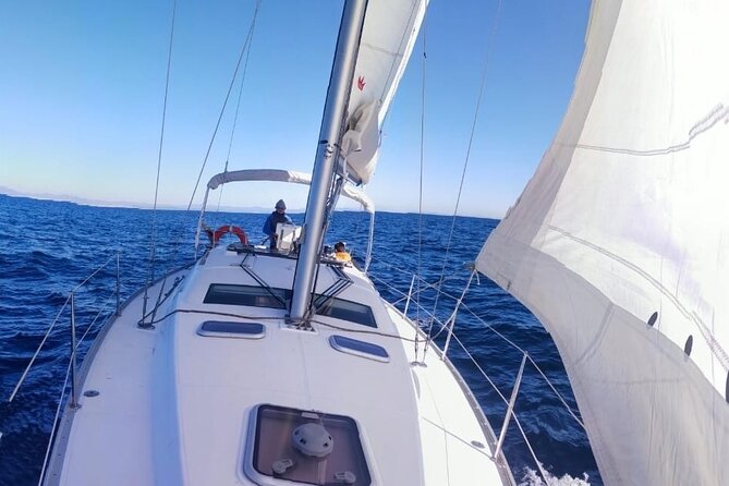 Whale & Dolphin Observation on Electric Sailing Boat in Denia - Price and Value: Is $114.39 Worth It?