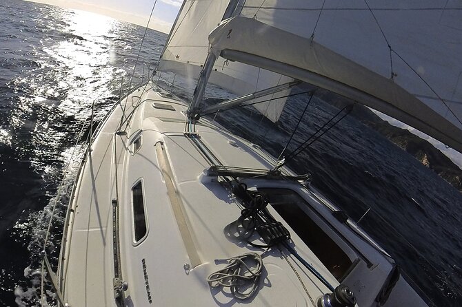 Whale & Dolphin Observation on Electric Sailing Boat in Denia - Who This Denia Electric Whale Sail Fits Best