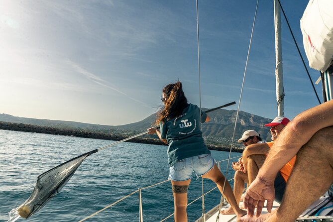 Whale & Dolphin Observation on Electric Sailing Boat in Denia - Should You Book This Whale & Dolphin Observation on an Electric Sail?