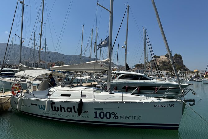 Whale & Dolphin Observation on Electric Sailing Boat in Denia - The 4-Hour Flow: Masterclass, Watching, and Snacks at Sea
