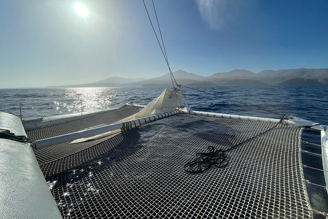 Whale & Dolphin Observation on Silent Catamaran with Hydrophone - Key Points to Know Before You Go
