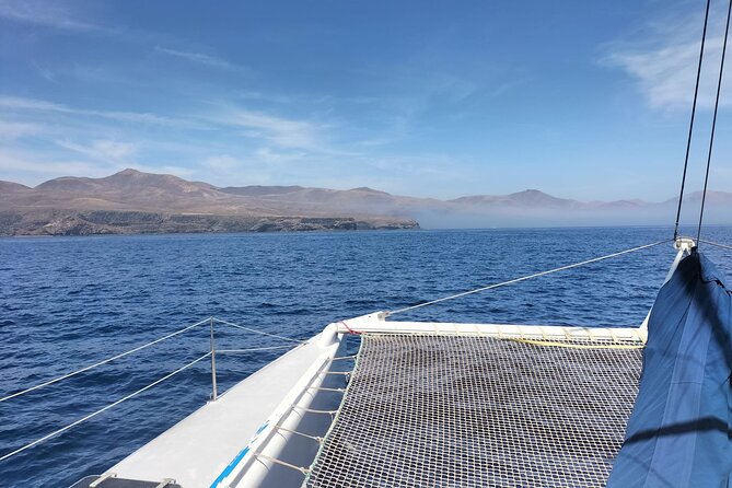 Whale & Dolphin Observation on Silent Catamaran with Hydrophone - Puerto Calero Whale Watching on a Quiet, Emission-Free Catamaran