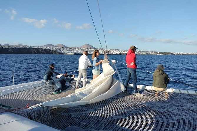 Whale & Dolphin Observation on Silent Catamaran with Hydrophone - Responsible Wildlife Viewing: Why You Might See Less Up Close