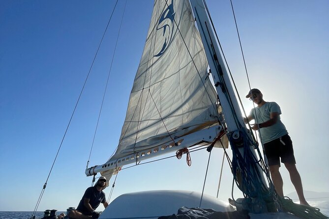 Whale & Dolphin Observation on Silent Catamaran with Hydrophone - Who This Tour Fits Best (and Who Might Be Happier Elsewhere)