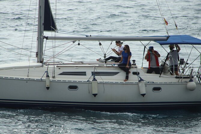 Whale & Dolphin Watching Boat Trip in Tenerife On a Sailing Boat (3 Hr) - Getting to Puerto Colón and timing your day around three departures