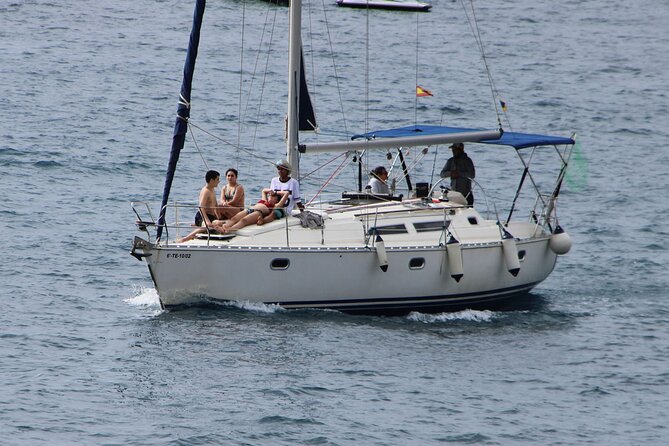 Whale & Dolphin Watching Boat Trip in Tenerife On a Sailing Boat (3 Hr) - How whale and dolphin searching works off Tenerife waters