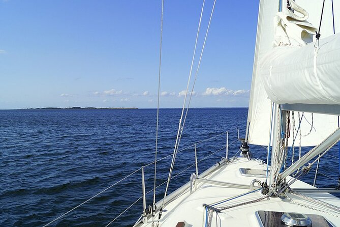 Whale & Dolphin Watching Boat Trip in Tenerife On a Sailing Boat (3 Hr) - Group size, comfort, and who this cruise suits best