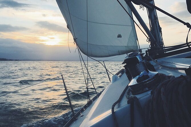Whale & Dolphin Watching Boat Trip in Tenerife On a Sailing Boat (3 Hr) - What the open bar and onboard food mean in practice
