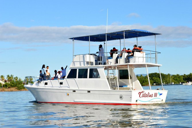 Whale & Dolphin Watching Cruise in Puerto Vallarta All Inclusive - Size and seating: why “max 40” might not match your experience