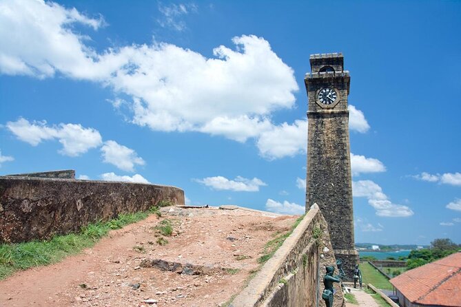 Whale & Dolphin Watching Day Tour including Handunugoda Teafactory - Key points before you go
