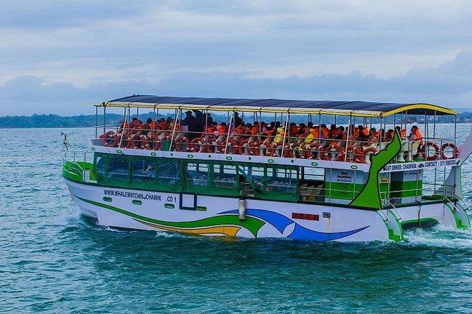 Whale & Dolphin Watching Day Tour including Handunugoda Teafactory - Why Mirissa early hours matter for whales and dolphins