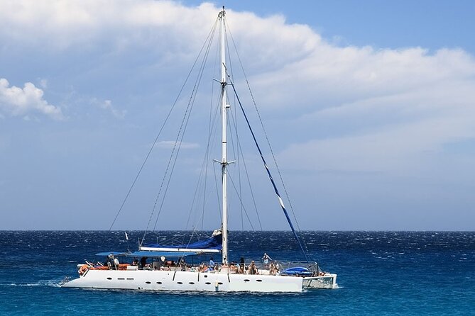Whale & Dolphin Watching in Tenerife (Puerto Colon) On a Large Catamaran - Key highlights to know before you go