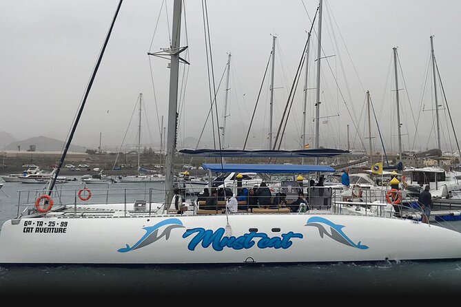 Whale & Dolphin Watching With Mustcat Virgin Coast Trip On a Large Catamaran - From Las Galletas to Palm Mar: How the Route Usually Plays Out