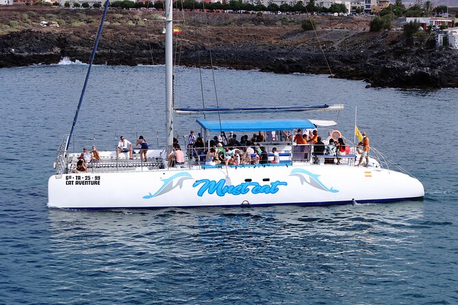Whale & Dolphin Watching With Mustcat Virgin Coast Trip On a Large Catamaran - Crew and Comfort on a Max 70-Person Catamaran