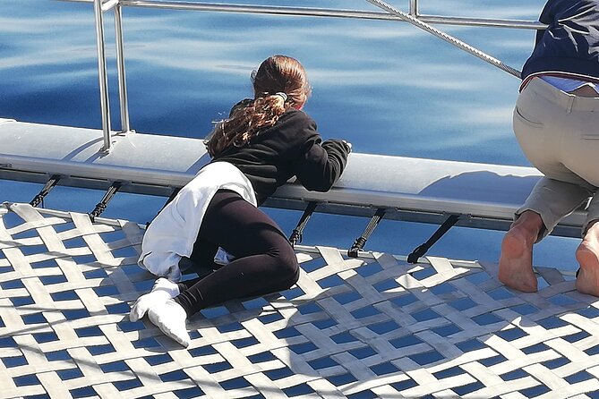 Whale & Dolphin Watching With Mustcat Virgin Coast Trip On a Large Catamaran - Price Check: Is $58.17 Worth It?