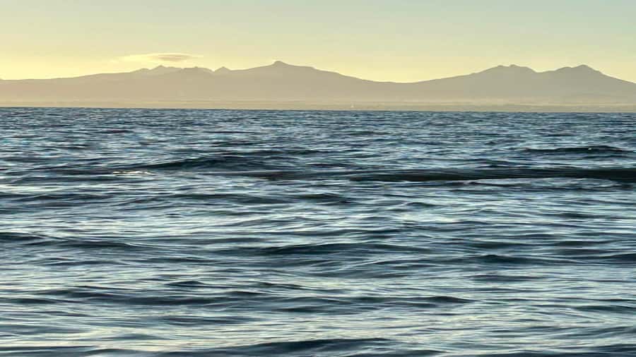 Whale & Dolphins Swimming - Private Speedboat Exclusive Tour - Safety and crew communication: the make-or-break ingredient