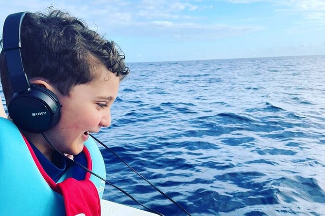 Whale Dream ltd - Whales watching and swim with dolphins - The no-whale-swimming rule, and why it actually helps your experience
