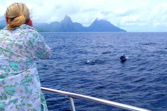 Whale Watching and Dolphin Spotting Cruise - St Lucia North-Coast Whale Watching: Why This Route Matters