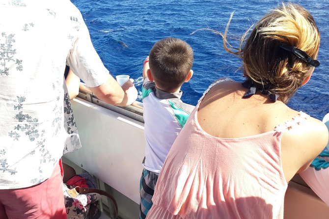 Whale Watching and Dolphin Spotting Cruise - Should You Book This Whale Watching and Dolphin Spotting Cruise in Choc, St Lucia?