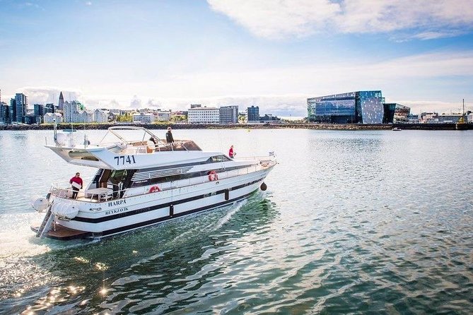 Whale Watching & Dolphin Yacht Cruise - Key highlights to know before you go