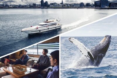 Whale Watching & Dolphin Yacht Cruise - The Harpa or Amelia Rose yachts: comfort for cold wind and choppy water