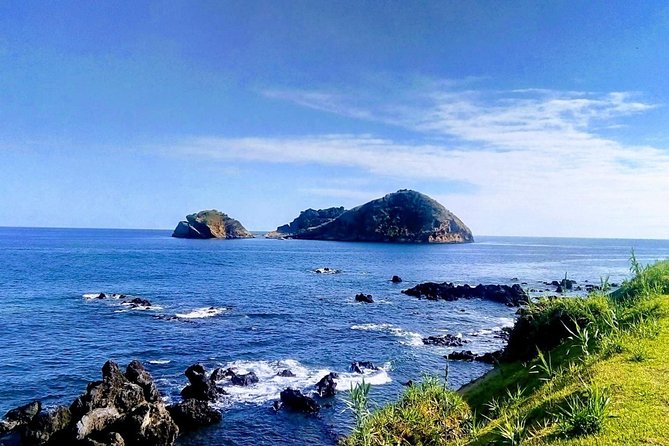 Whale Watching Tour + Vila Franca Islet: Full-day with lunch - Whale watching starts at Marina Pêro de Teive, not the tourist strip