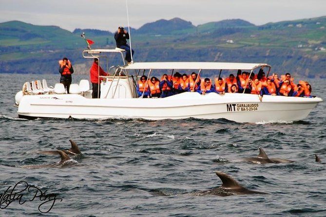 Whale Watching Tour + Vila Franca Islet: Full-day with lunch - Lunch in the Azores: included, but quality can vary by schedule