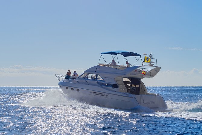 Whales and Dolphins excursion on a Luxury Yacht in Canary Islands - Key Points to Know Before You Go