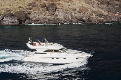 Whales and Dolphins excursion on a Luxury Yacht in Canary Islands - The 3-Hour Flow: Coastal Cruising, Teide Views, and Whale Spotting