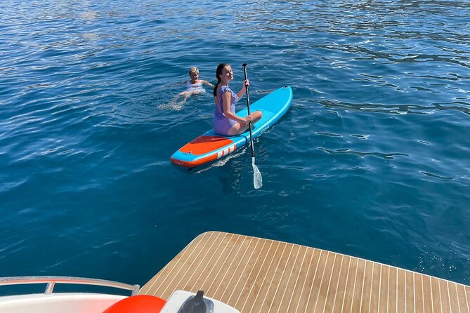 Whales and Dolphins excursion on a Luxury Yacht in Canary Islands - Sea Conditions, Motion, and Who This Tour Fits Best