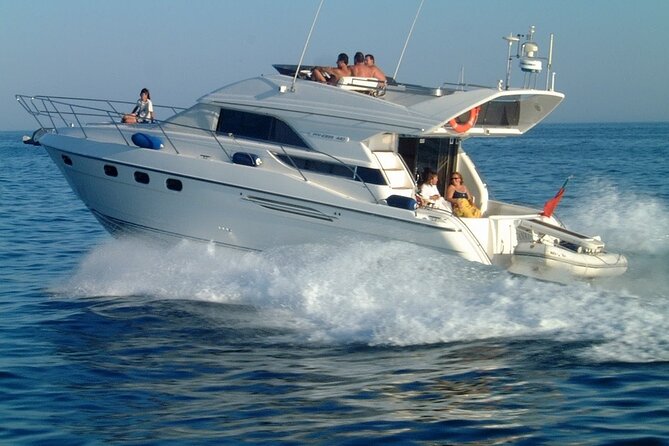 Whales and Dolphins excursion on a Luxury Yacht in Canary Islands - Price and Value: Why $104 Feels Fair Here