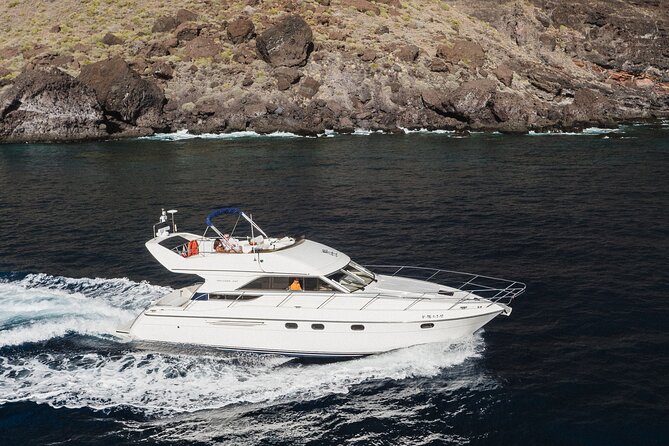 Whales and Dolphins excursion on a Luxury Yacht in Canary Islands - The 3-Hour Flow: Coastal Cruising, Teide Views, and Whale Spotting